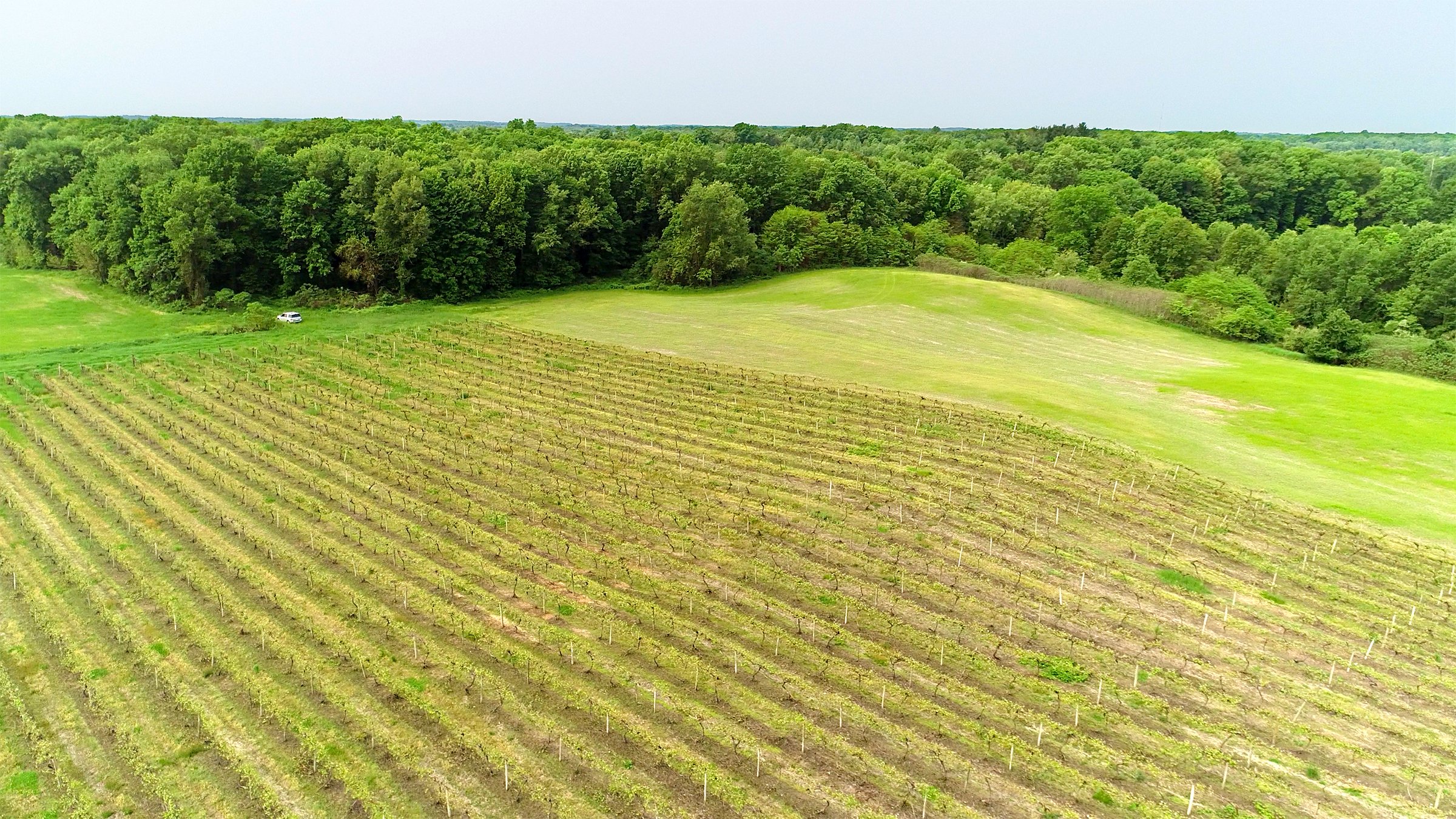 Van Buren County, Michigan farmland - LAND AUCTION - 194+/- ACRES OFFERED IN 5 TRACTS IN VAN BUREN COUNTY, MICHIGAN